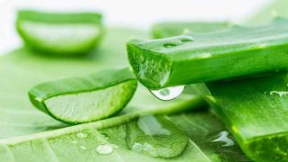 TOP 10 cách chữa bệnh trĩ dân gian hay, dứt điểm tại nhà